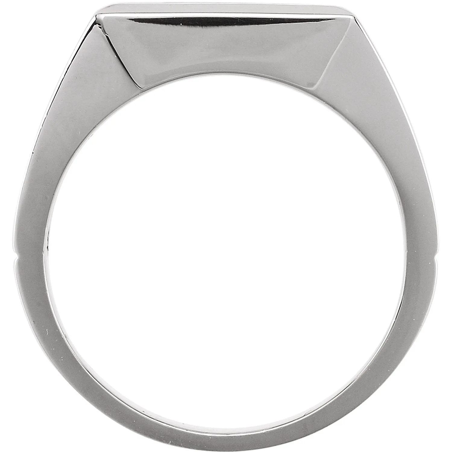 14K White Natural Black Onyx Ring