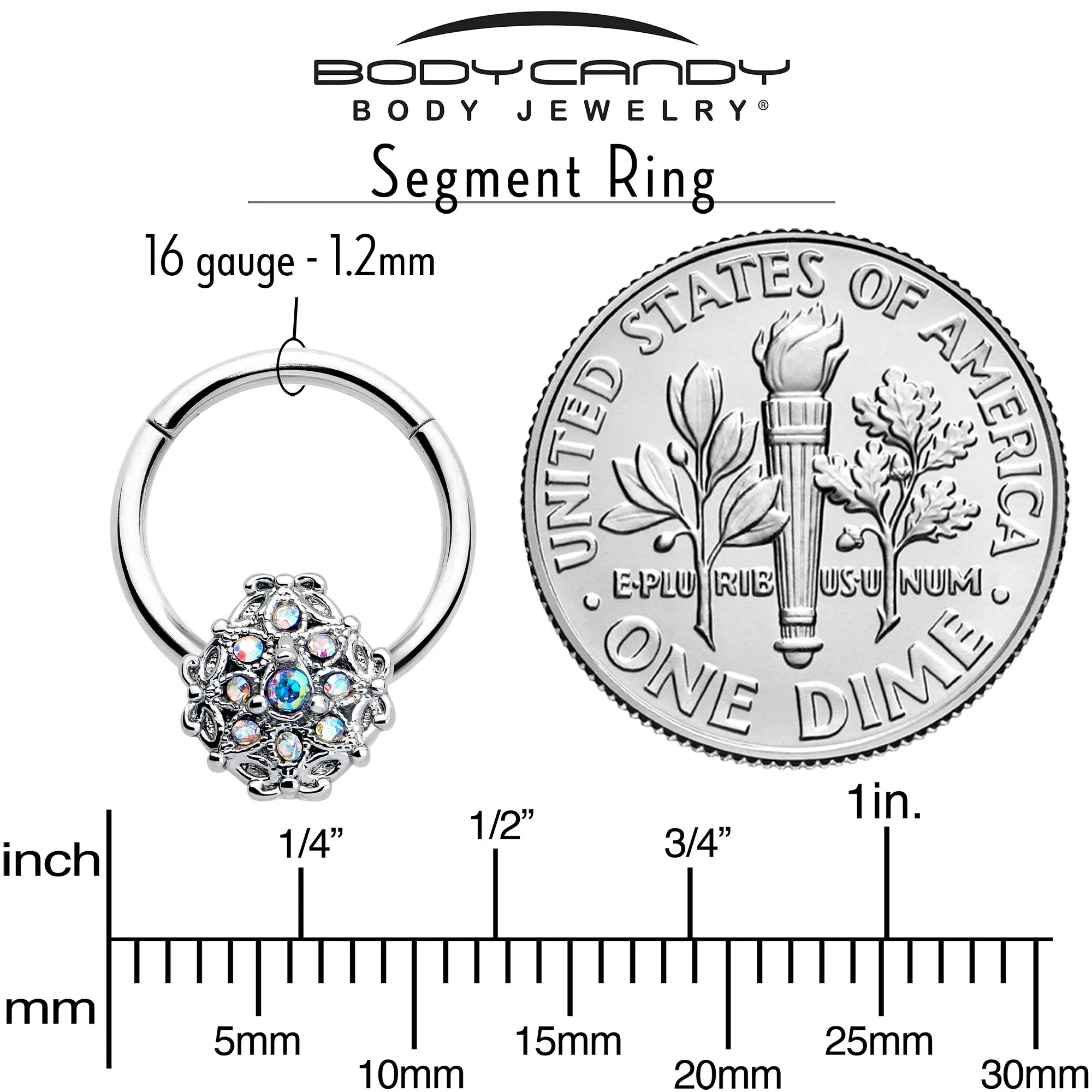 16 Gauge 3/8 Aurora Gem Retro Sunburst Hinged Segment Ring