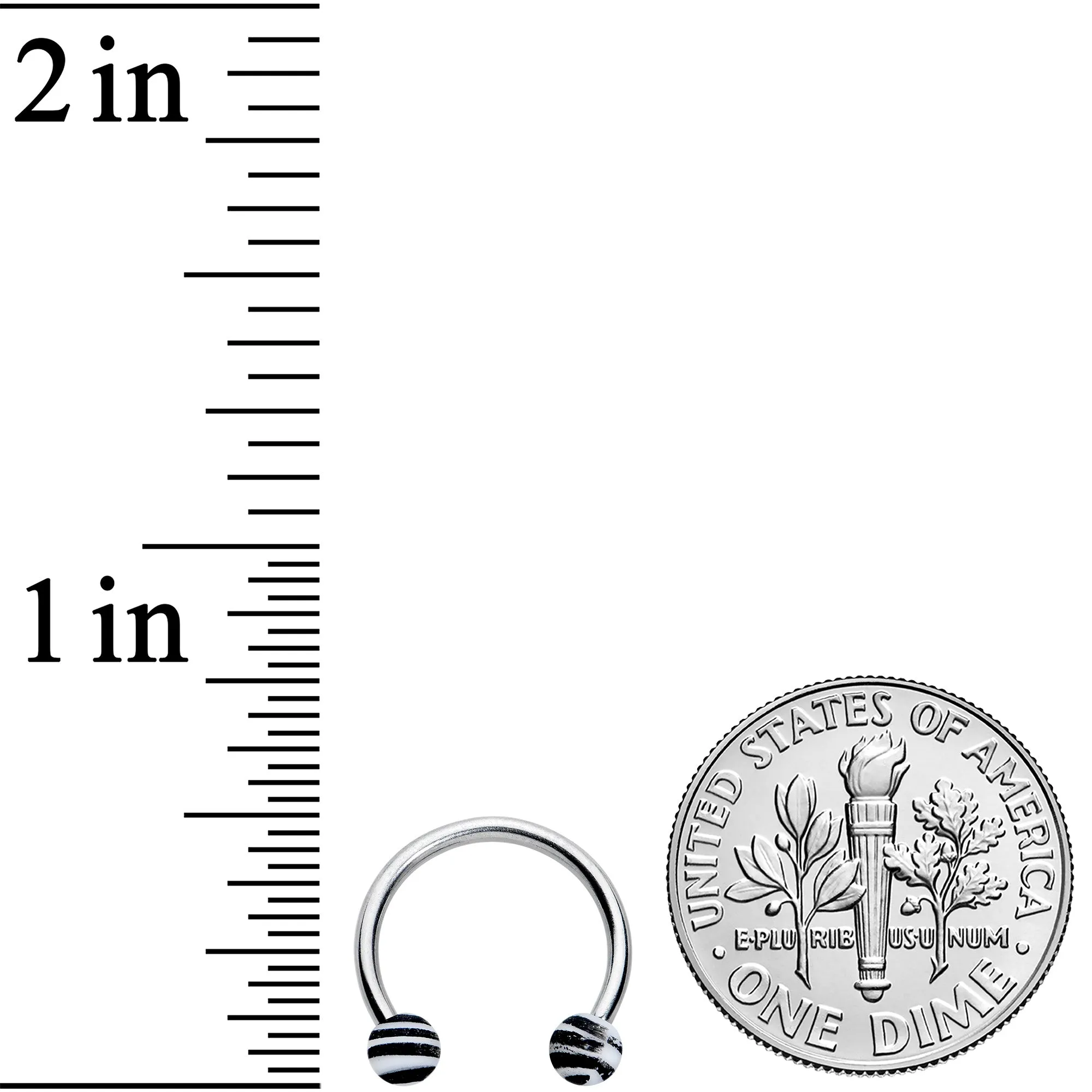 16 Gauge 3/8 Matte White Zebra Stripe Ends Horseshoe Circular Barbell