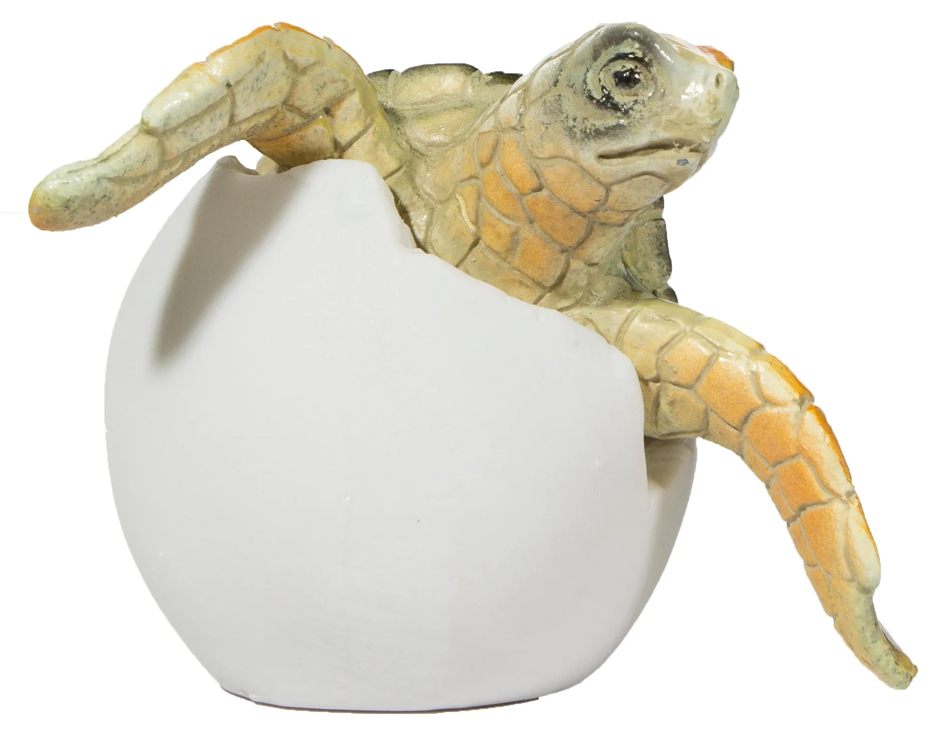 Adorable Baby Sea Turtle Hatching From Egg 3 Inch Tall Figurine