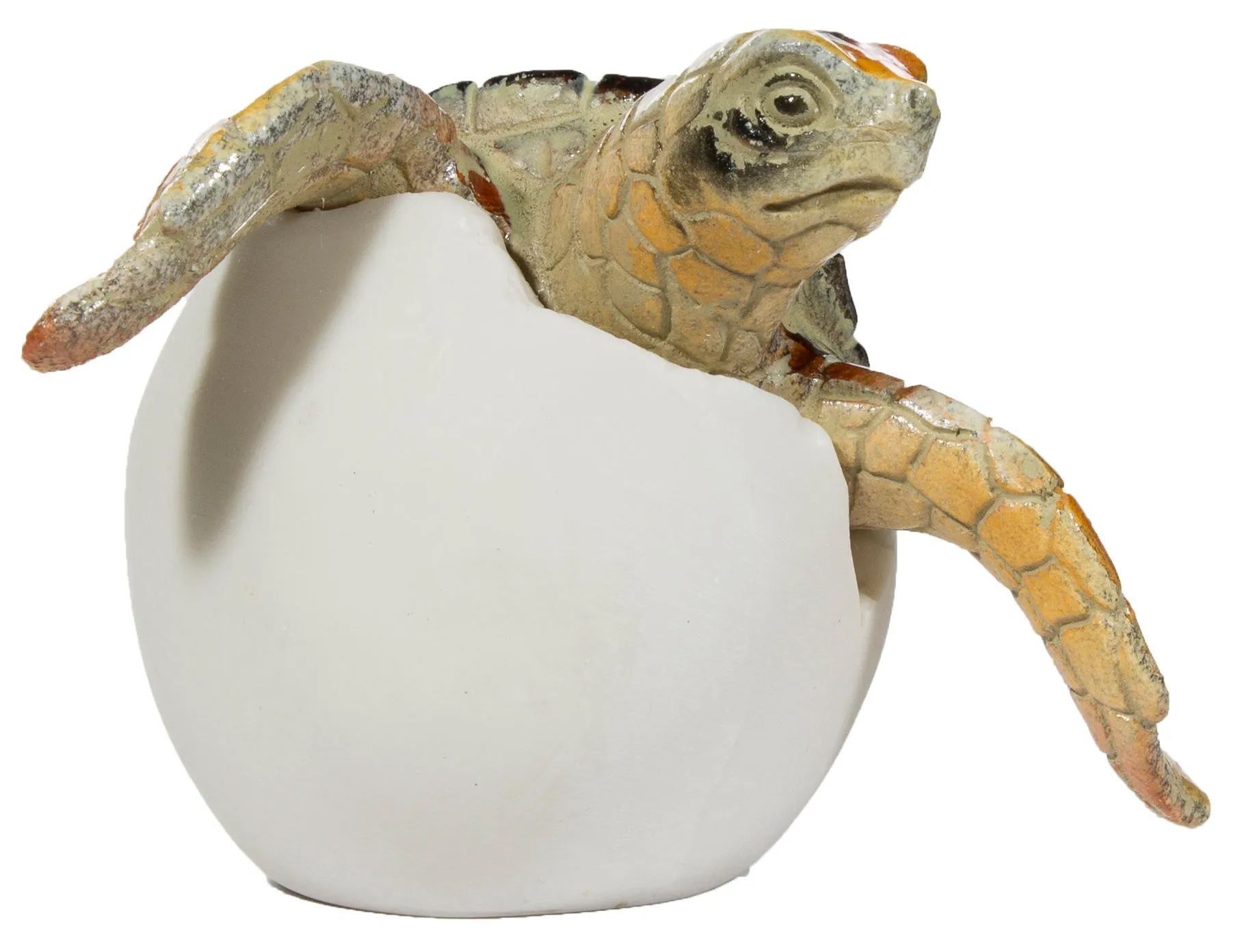 Adorable Baby Sea Turtle Hatching From Egg 3 Inch Tall Figurine