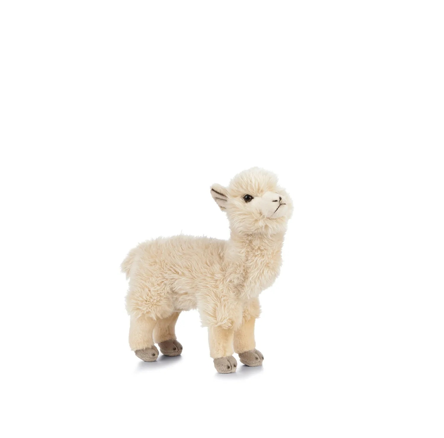 Alpaca