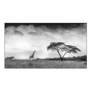 And I Dreamed of Africa