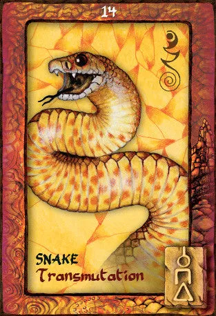 Animal Dreaming Oracle