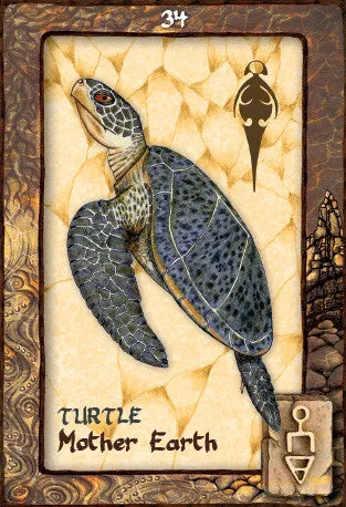 Animal Dreaming Oracle