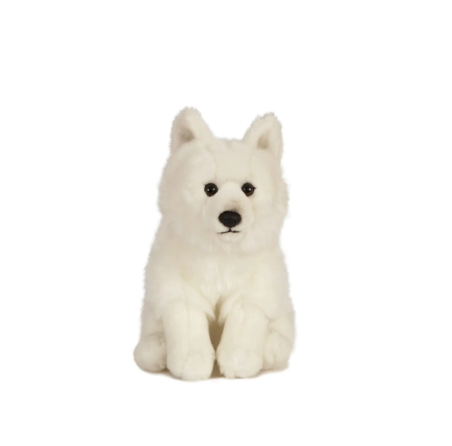 Arctic Fox