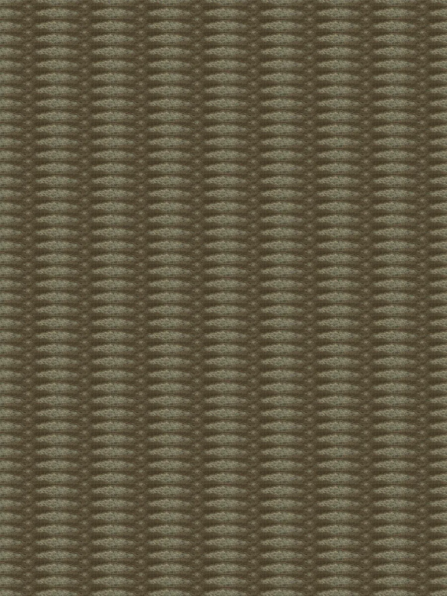 Argos-Moss