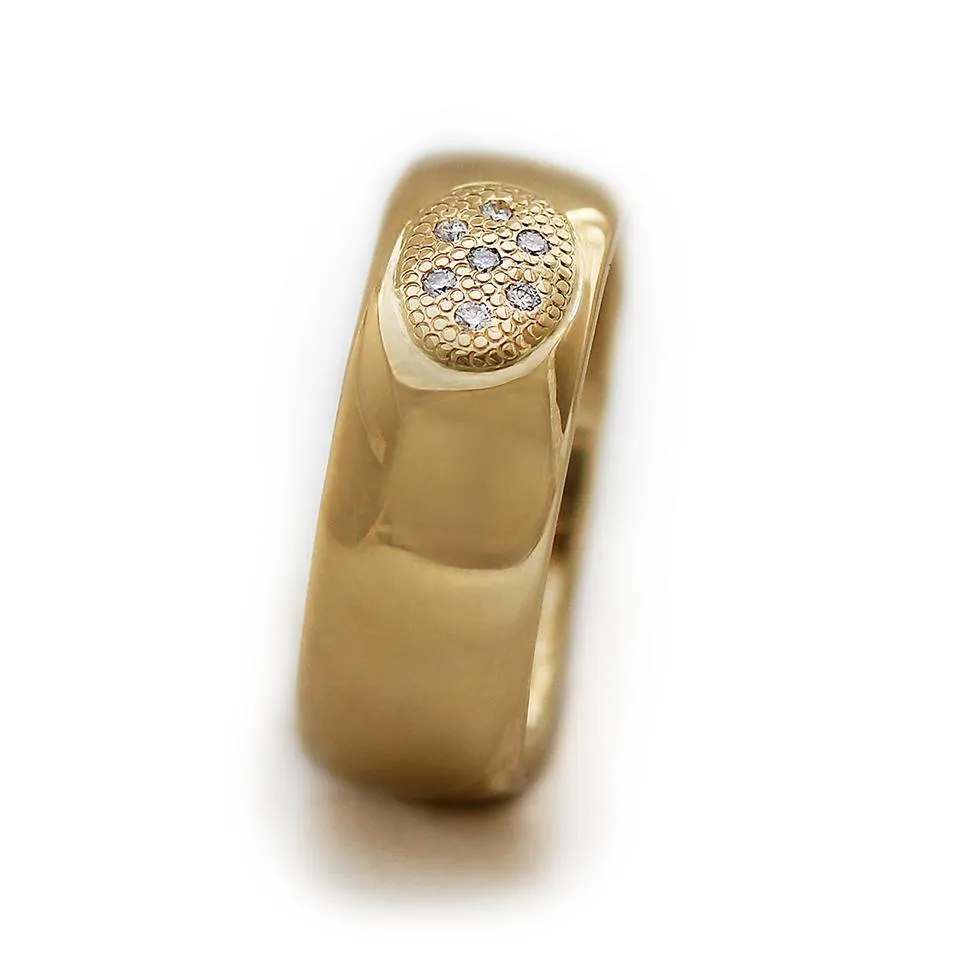 Armor- promise ring and engagement ring