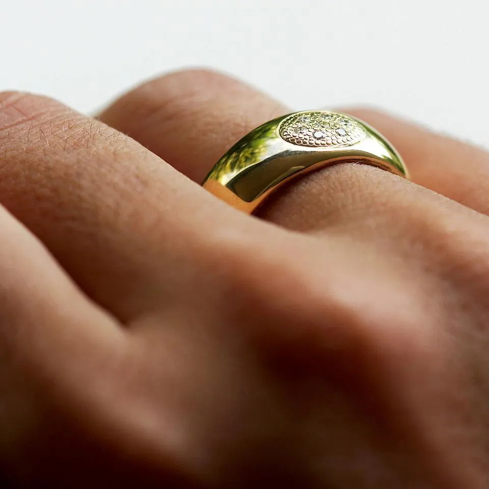 Armor- promise ring and engagement ring