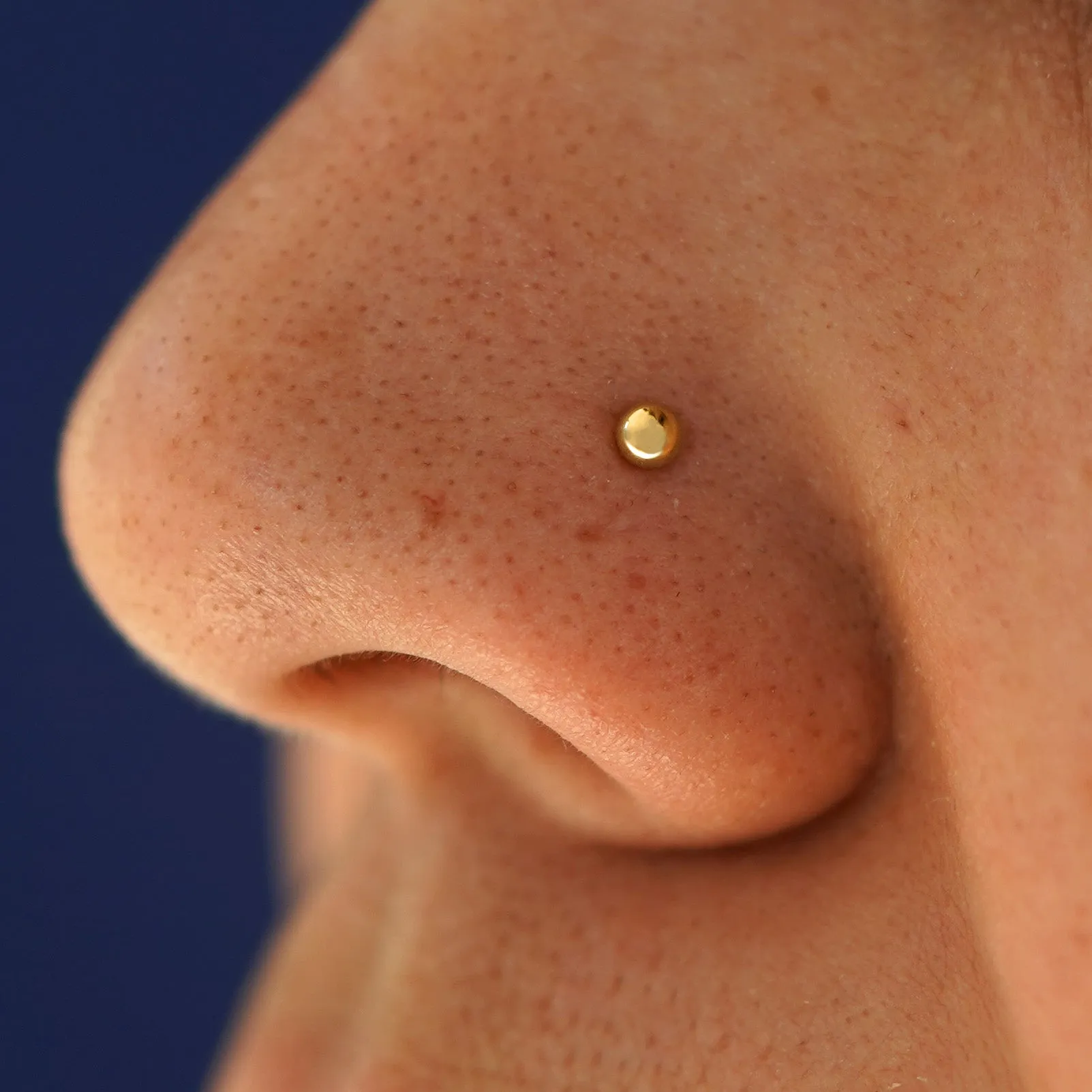 Ball Nose Stud