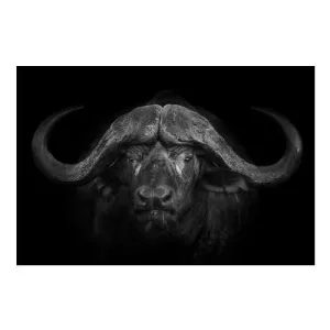 Big Horns