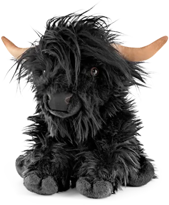 Black Highland Cow with Sound