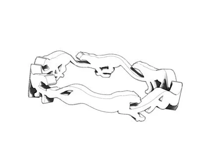 Cheetah Cycle Ring