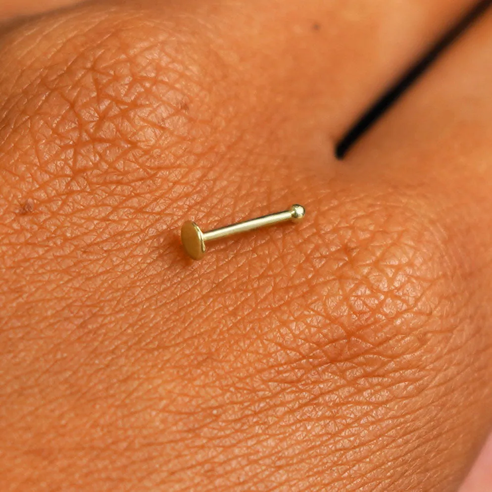 Circle Nose Stud