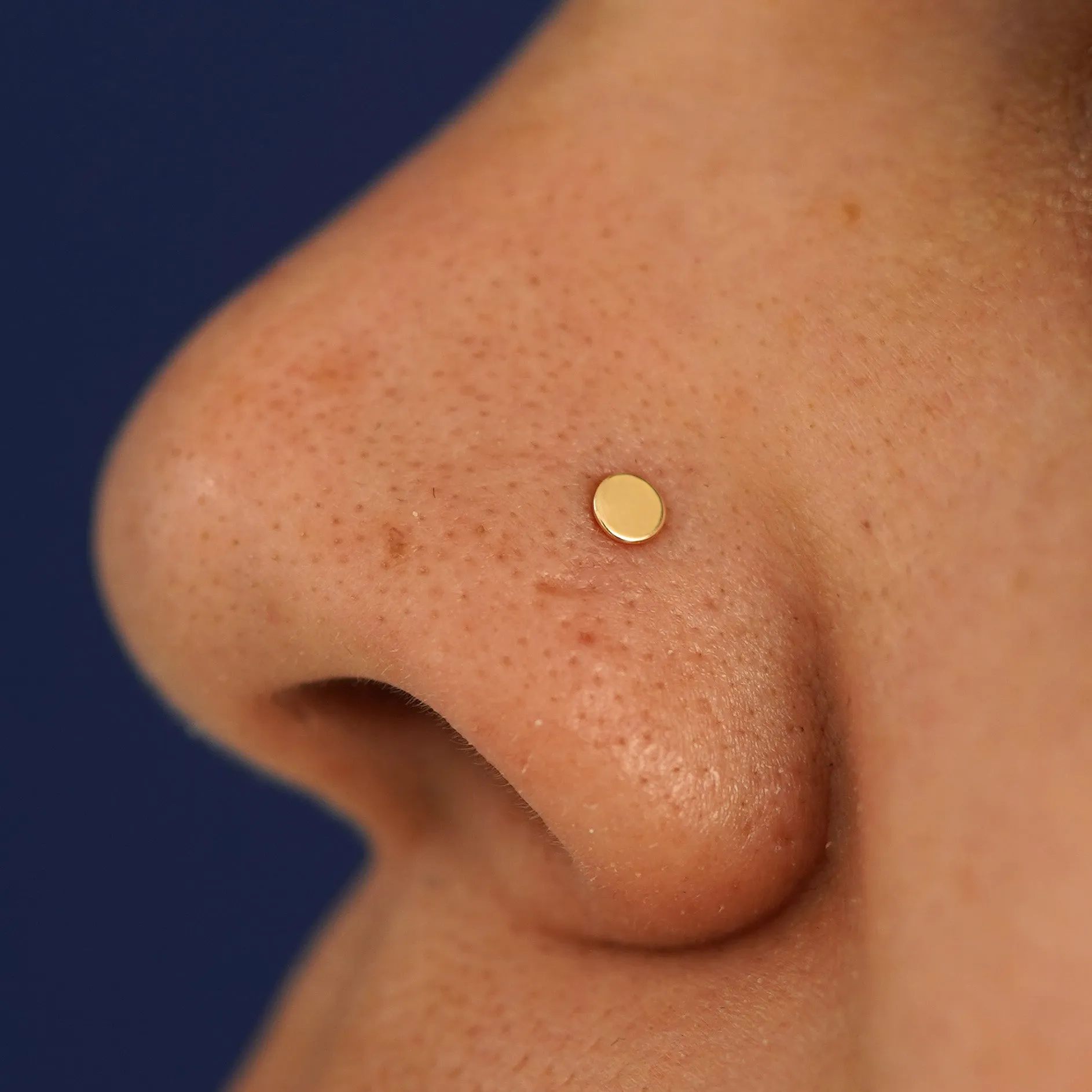 Circle Nose Stud