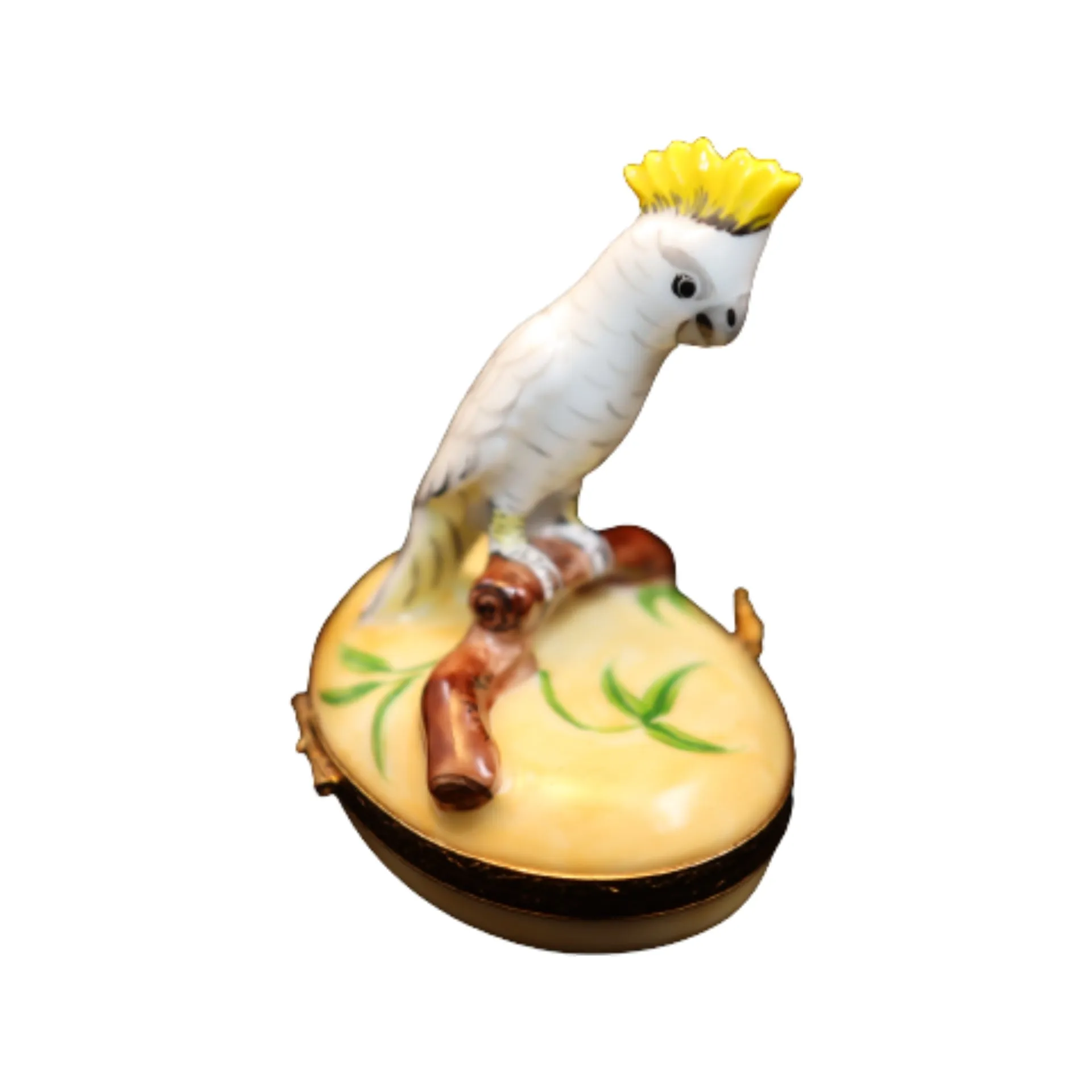 Cockatoo: Yellow Crest Bird