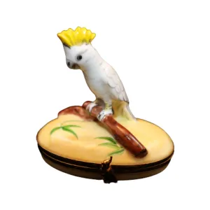 Cockatoo: Yellow Crest Bird