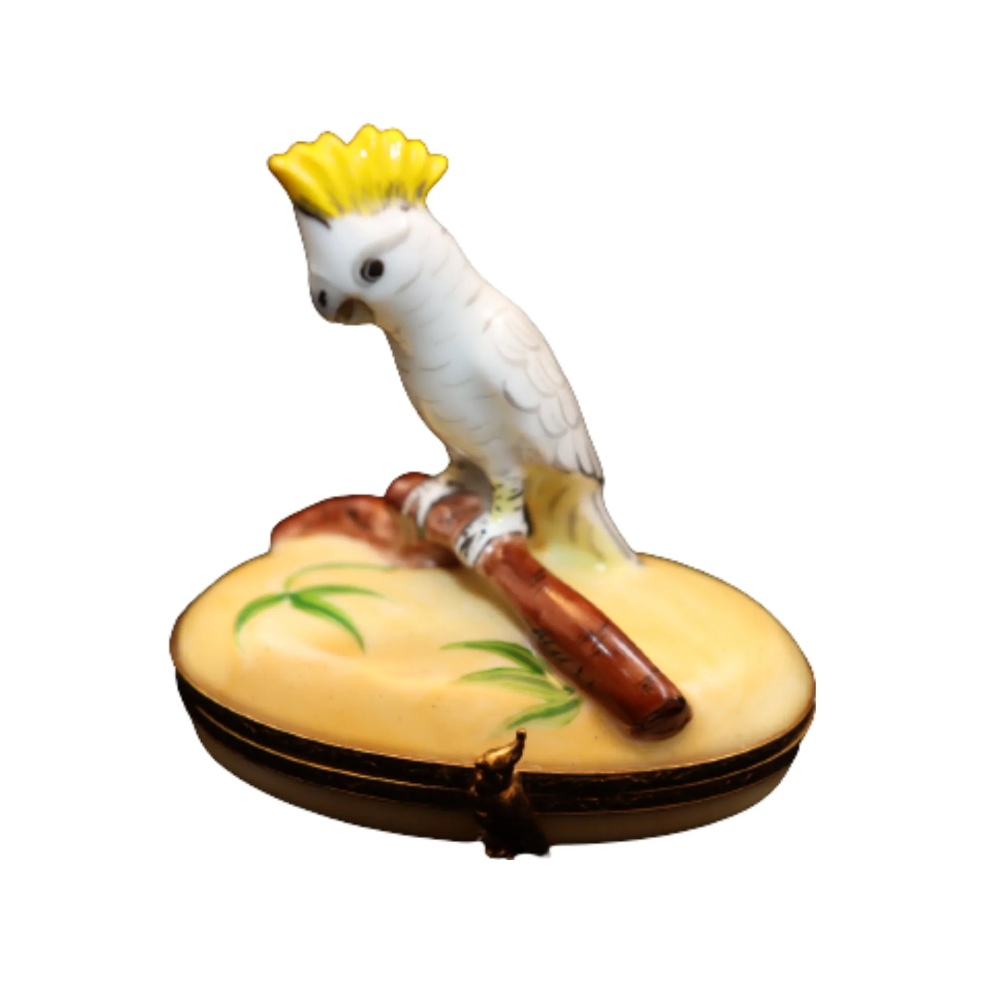 Cockatoo: Yellow Crest Bird
