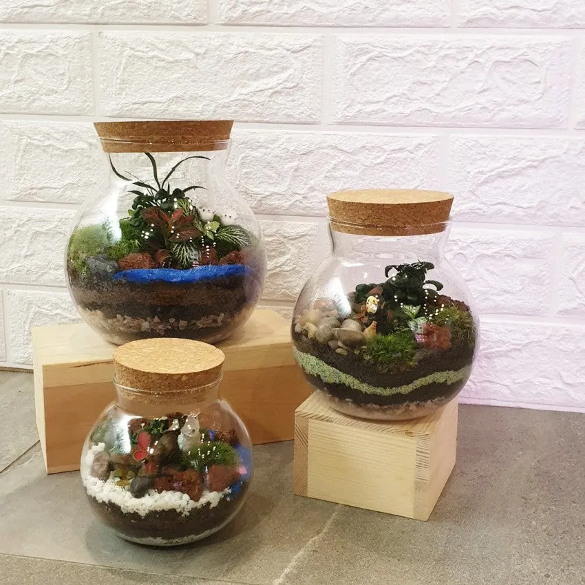 Cork Jar Terrarium
