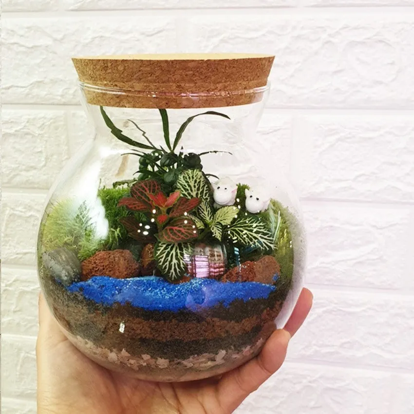 Cork Jar Terrarium