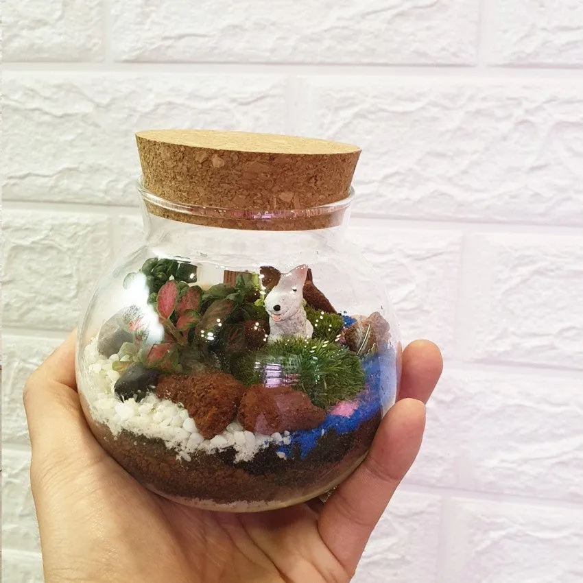 Cork Jar Terrarium