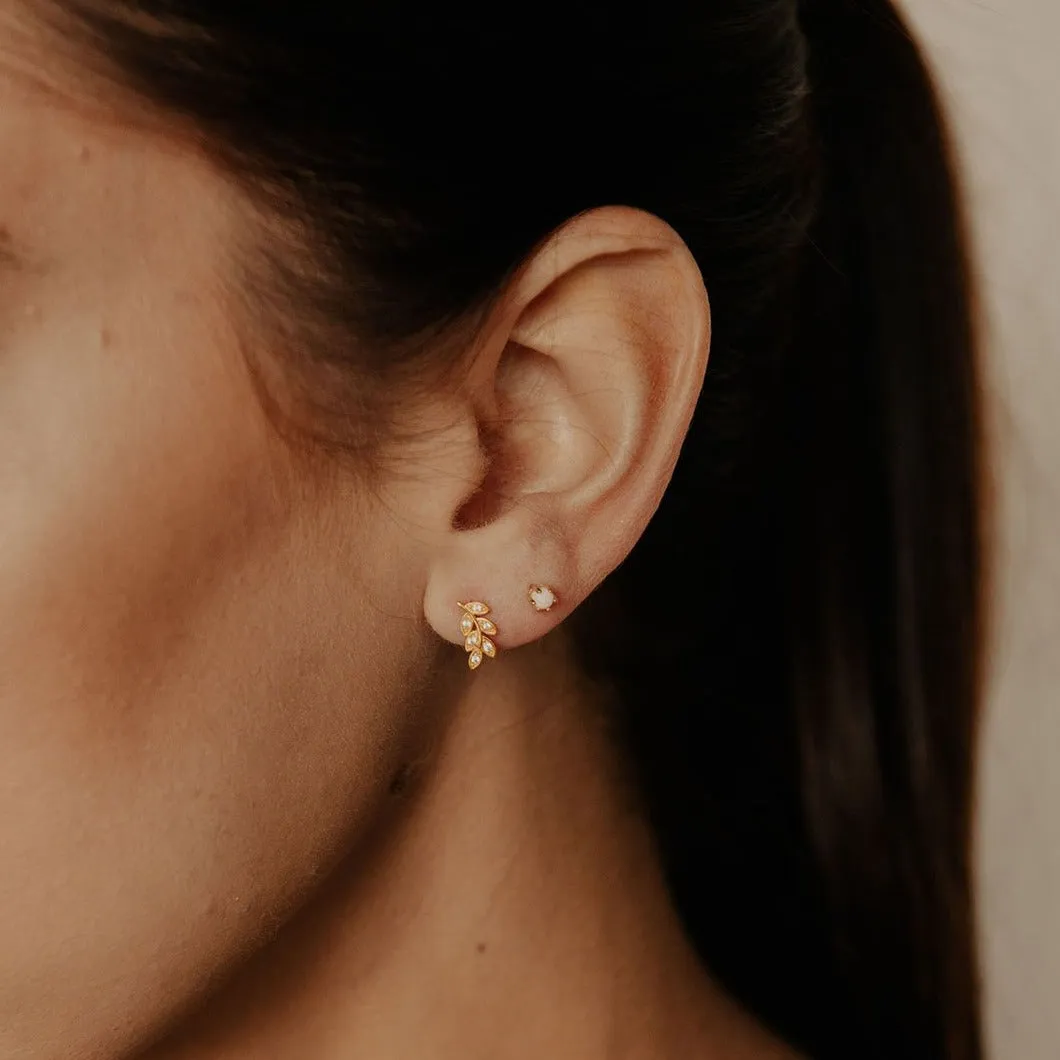 CZ Leaf Studs