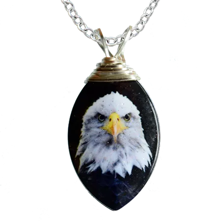 Eagle Portrait