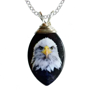 Eagle Portrait