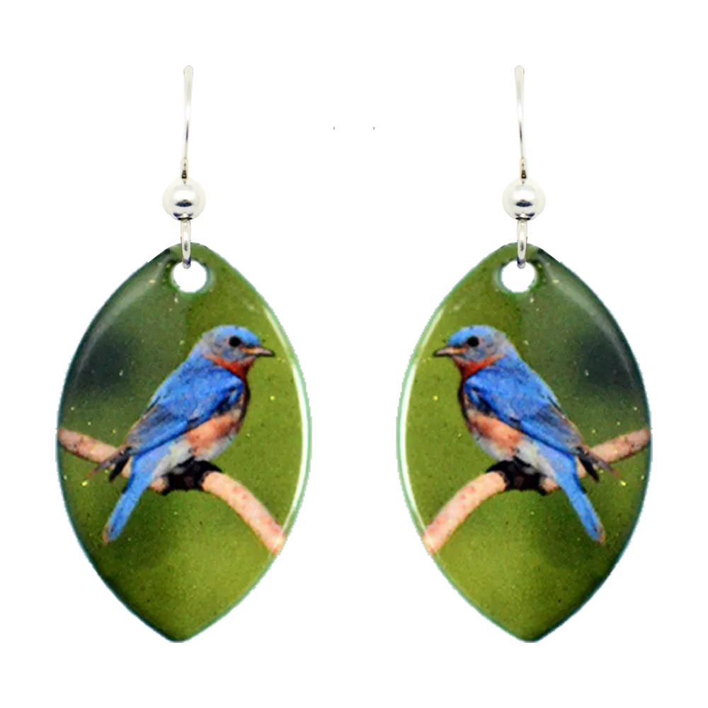 Eastern Bluebird