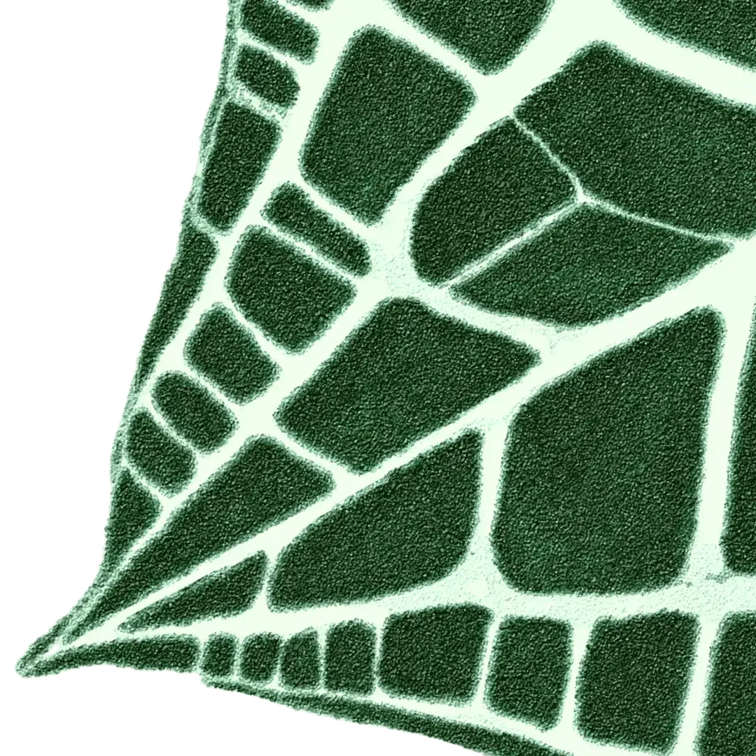 Elephant Ear Shaped Hand Tufted Wool Rug