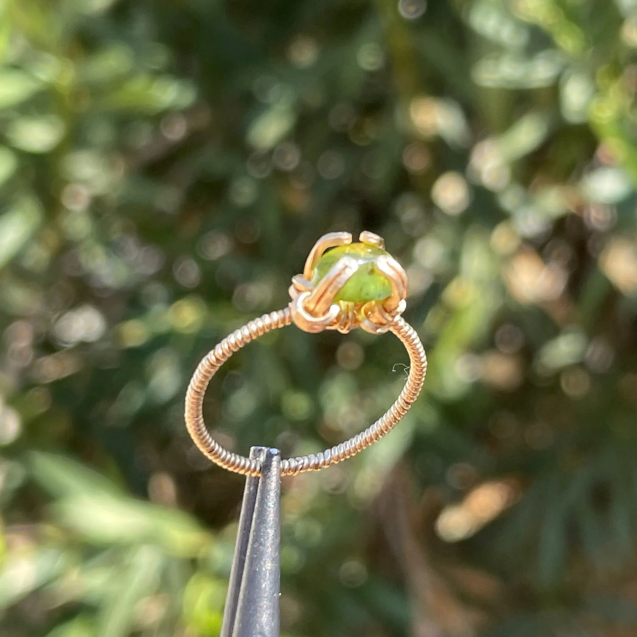 Evermore Ring✵