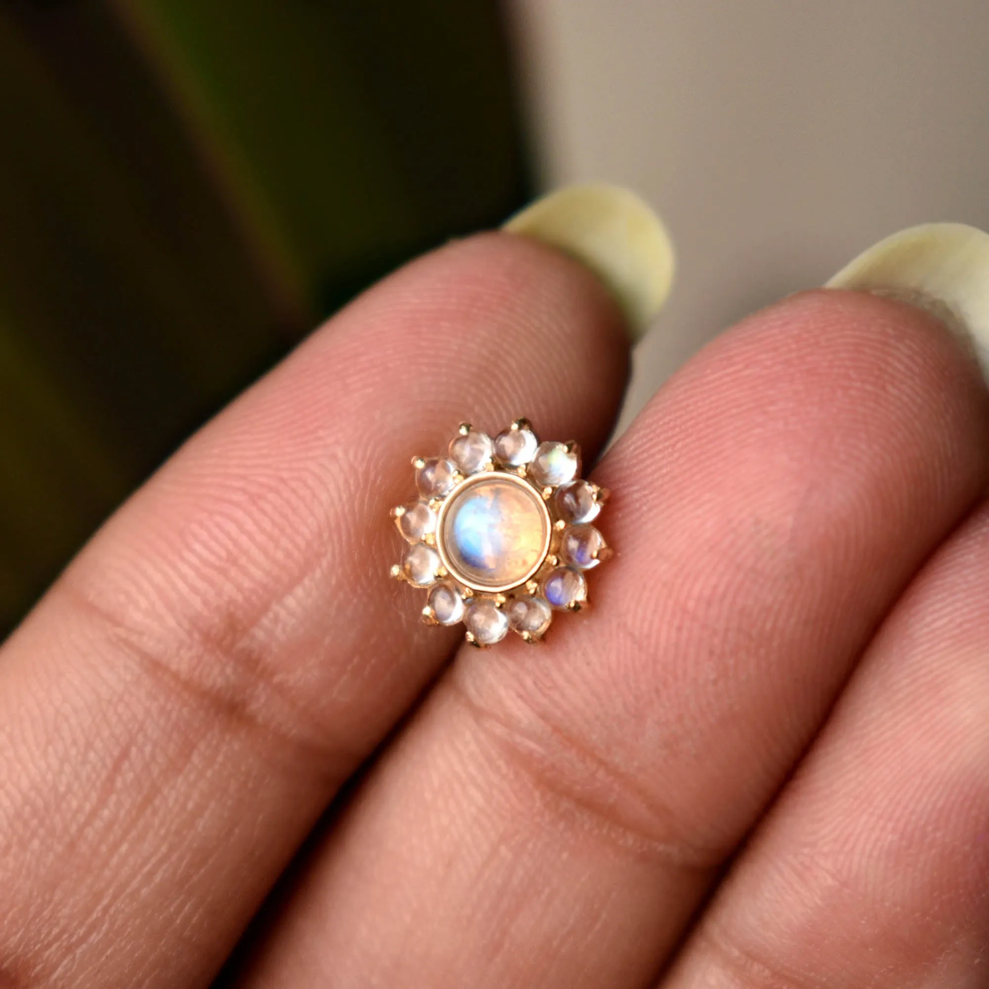 Flower Rainbow Moonstone Stud