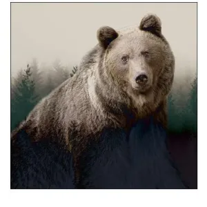 Forest Bear