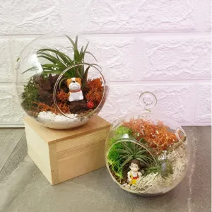 Globe Terrarium