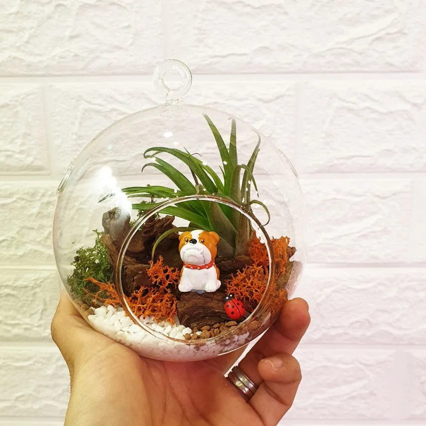 Globe Terrarium
