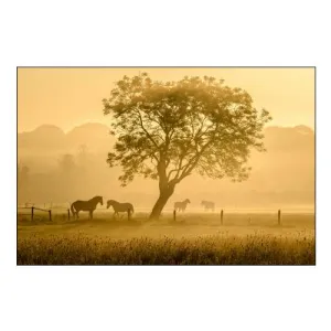 Golden Horses