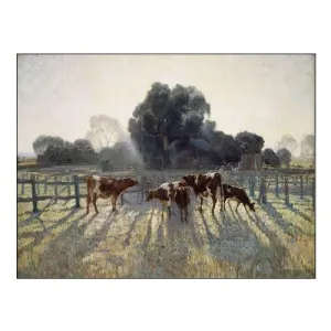 Grazing Cows