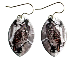 Great Grey Owl