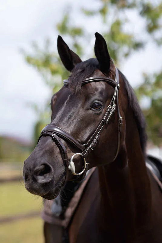 Horze Nature Made Leisure Bridle Brown