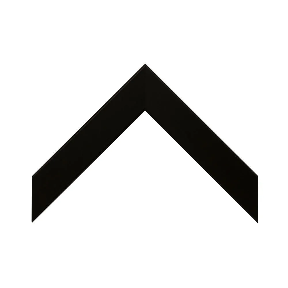 icaro