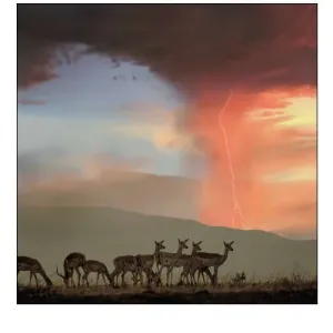 Impala and Lightning