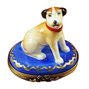 Jack Russell Terrier