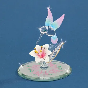 K0 695-NP: Hummingbird
