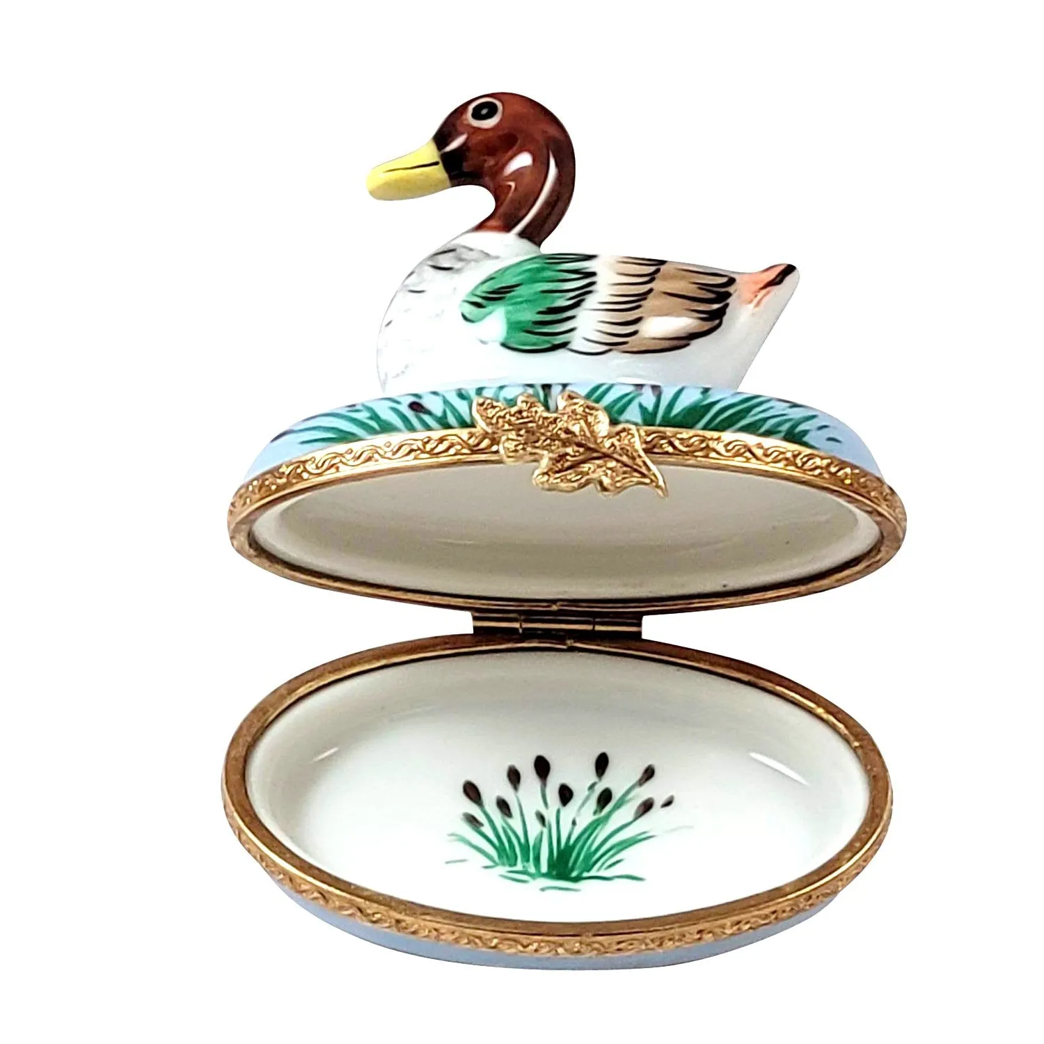 Mallard Duck