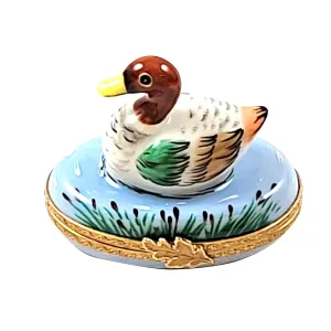 Mallard Duck