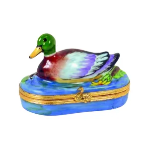 Mallard Duck