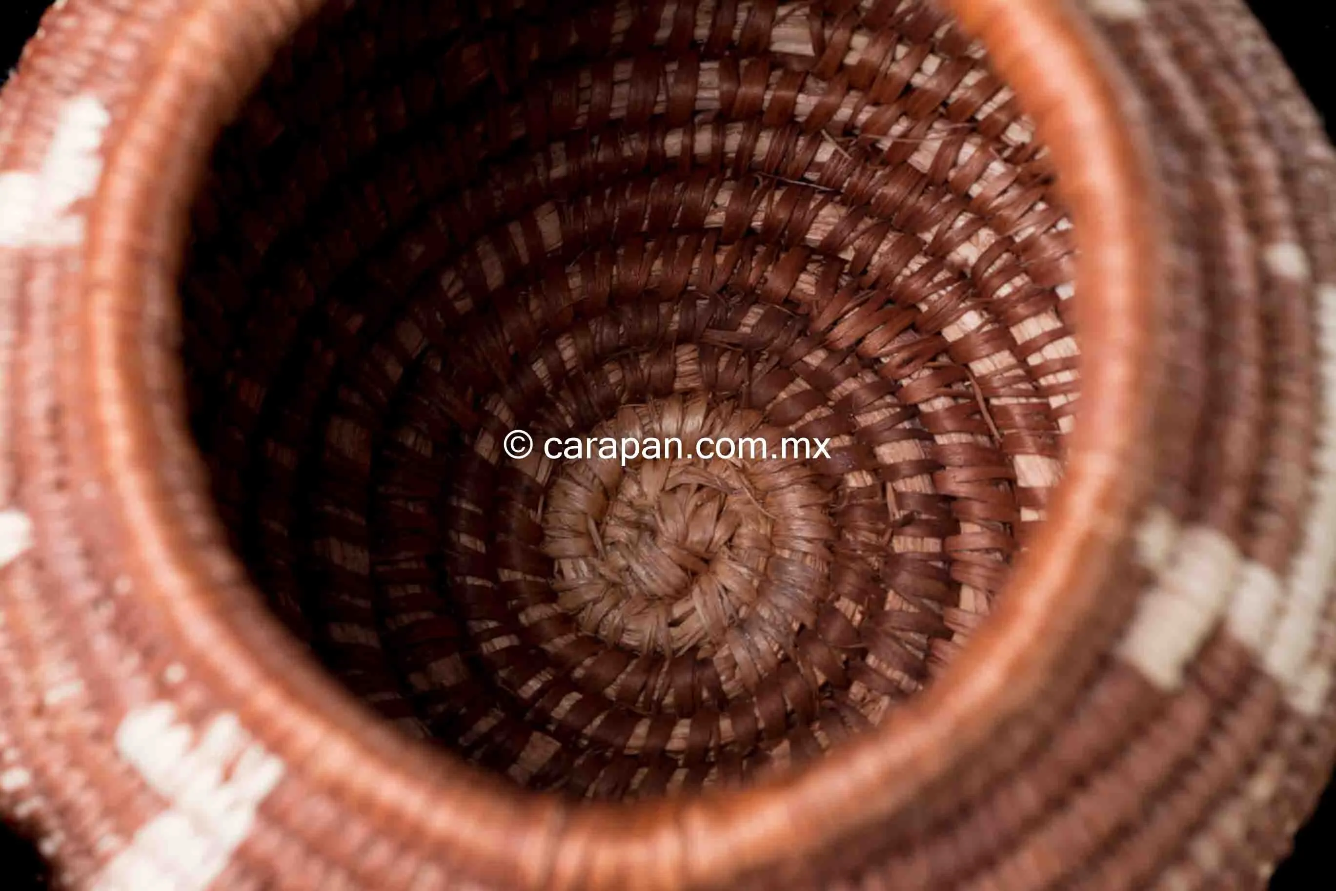 Mexican Seri Indian Corita Basket Torote Fibers w Donkeys