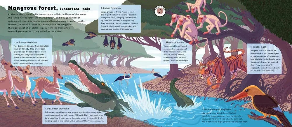 Microcosm Publishing & Distribution - World of Forests: Sounds of Nature