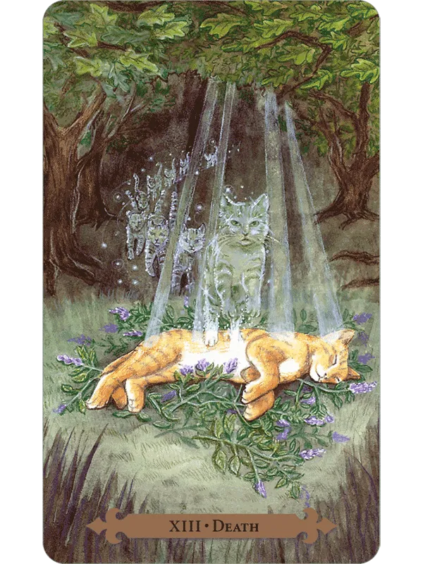 Mystical Cats Tarot