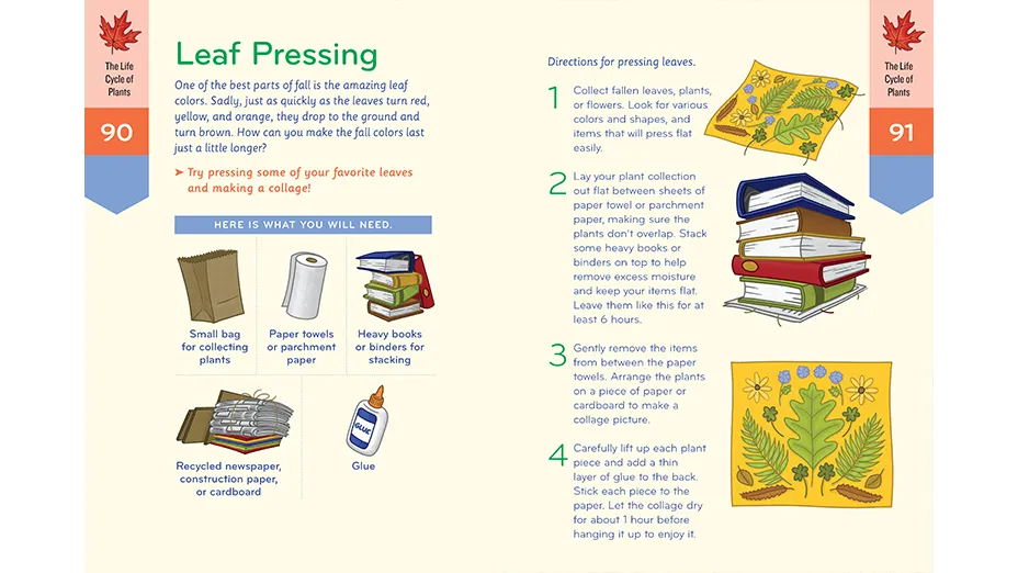 Nature Workbook (Ages 7-9)